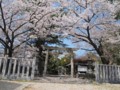 20110410125342