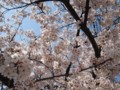20110410140247