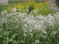 20110424130920