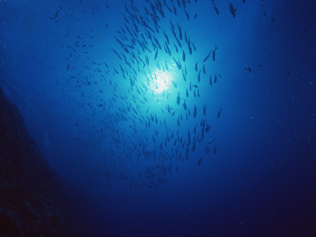 東日本大震災前の二日間、深海の底のようなブラックホールのような巨大な穴に、飲み込まれていくイメージで目覚め、一睡もできませんでした。身体にも奇妙な緊張が走っていて、バスルームの照明を付けようとスイッチに触れるとライトの電球がバチン!と切れました。