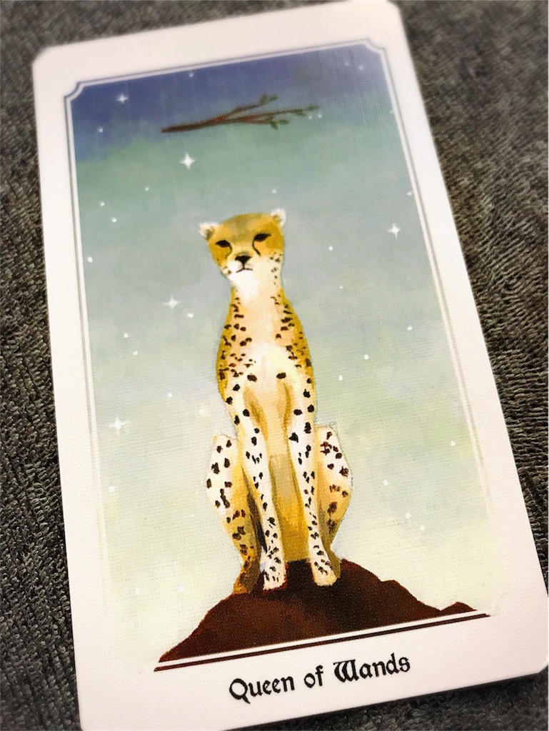 f:id:yingtianyou:20180107115048j:image f:id:yingtianyou:20180107115048j:image