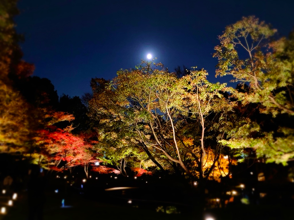 月蝕とは サイエンスの人気 最新記事を集めました はてな 月蝕とは サイエンスの人気 最新記事を集めました はてな