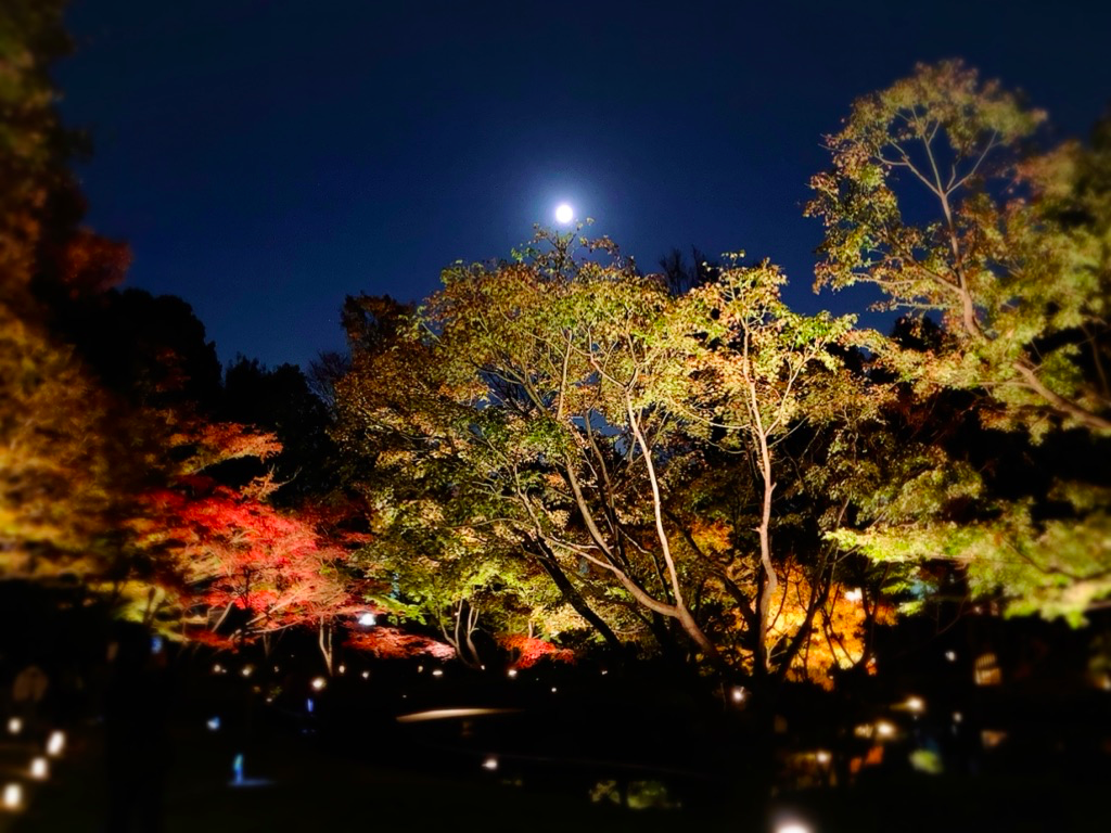 月蝕とは サイエンスの人気 最新記事を集めました はてな