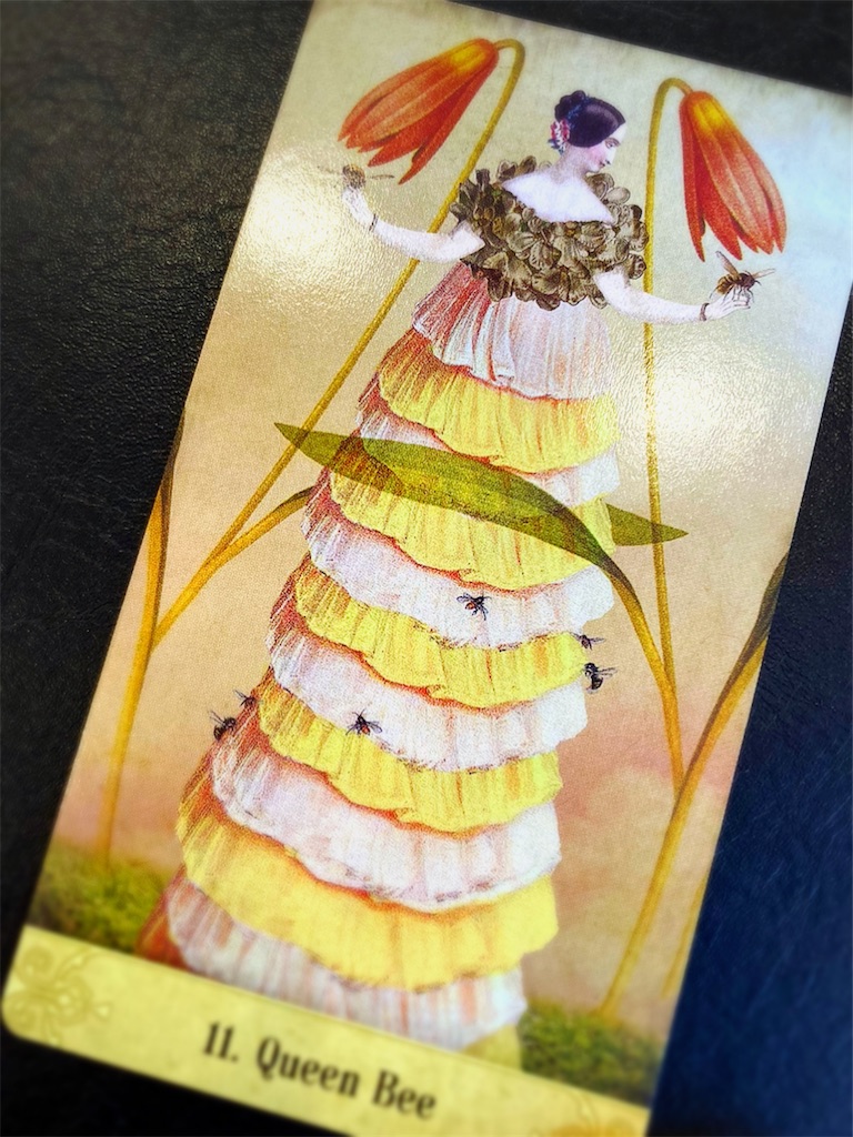 f:id:yingtianyou:20201210104416j:image f:id:yingtianyou:20201210104416j:image