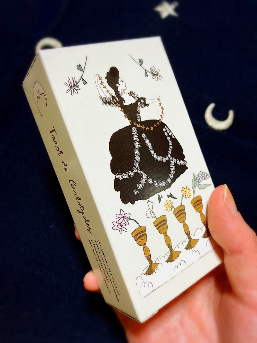 タロットカード訳ダークな世界観ワタリガラスの預言のデッキ Amazon.co