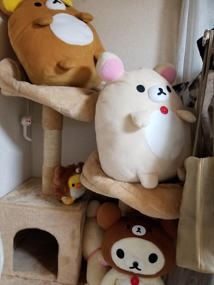 f:id:yippee-ryo-ohashi-1111:20190818193840j:plain f:id:yippee-ryo-ohashi-1111:20190818193840j:plain