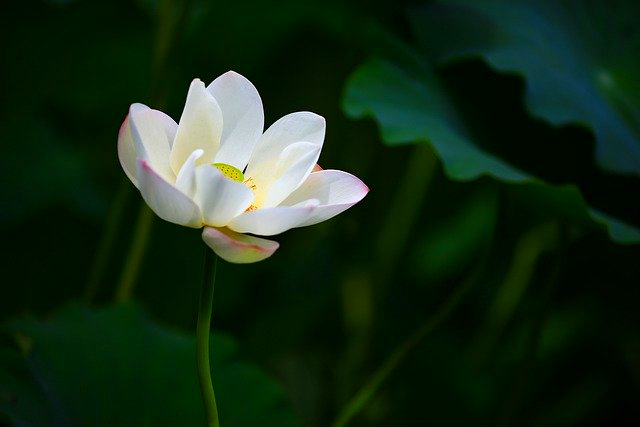 f:id:yiskw713:20211006100219p:plain