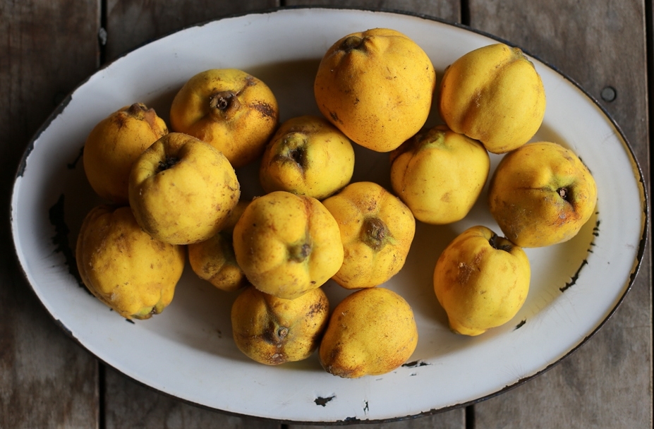 Ayva Yemenin Zamanı Olur Mu? - yiyecekler’s diary