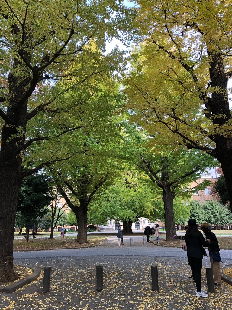 f:id:yiyuan9390275:20181202161001j:plain f:id:yiyuan9390275:20181202161001j:plain