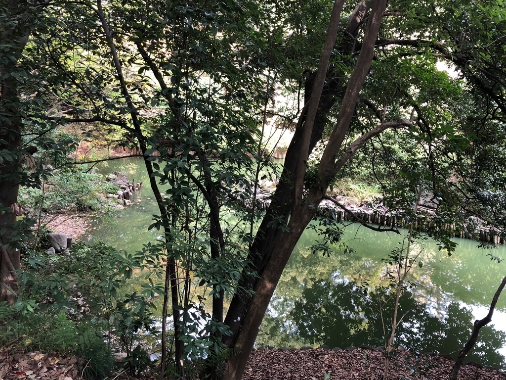 f:id:yiyuan9390275:20181202164301j:plain f:id:yiyuan9390275:20181202164301j:plain