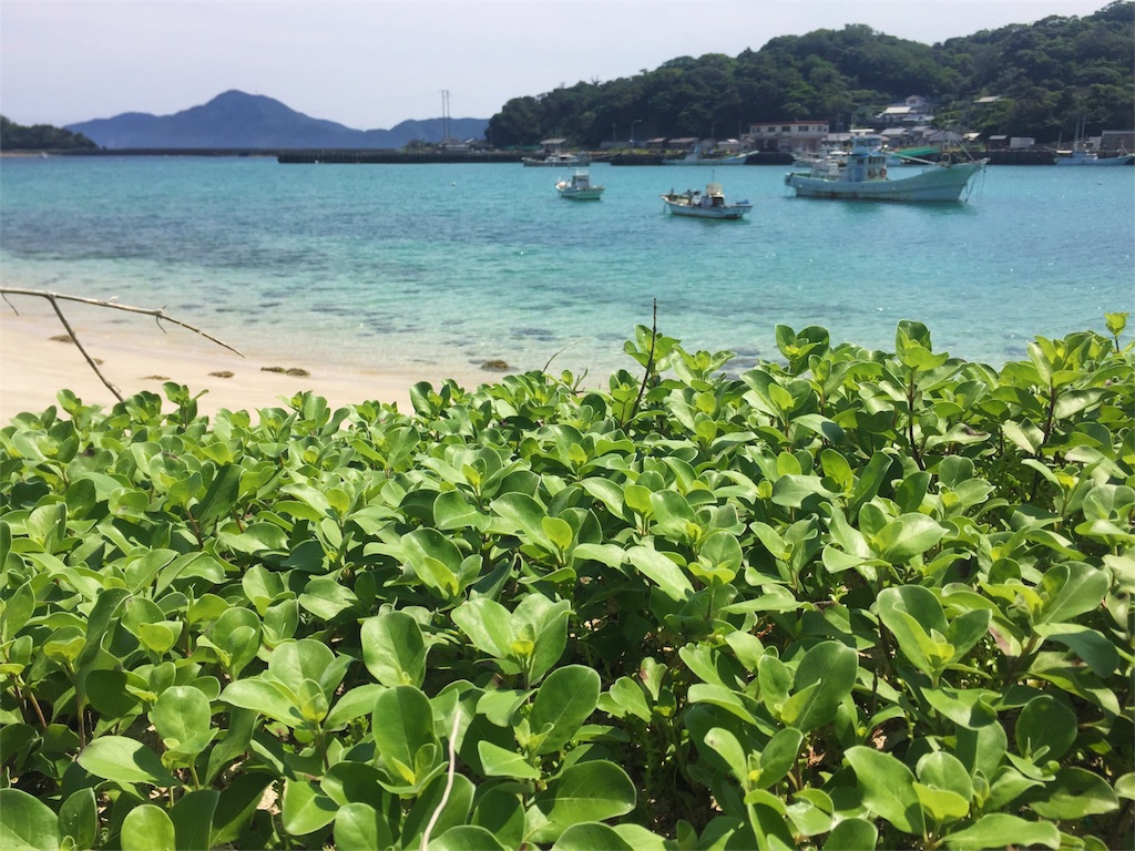 f:id:yjam026:20180628214845j:image f:id:yjam026:20180628214845j:image