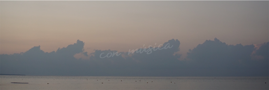 f:id:yjam026:20200831205448p:image f:id:yjam026:20200831205448p:image