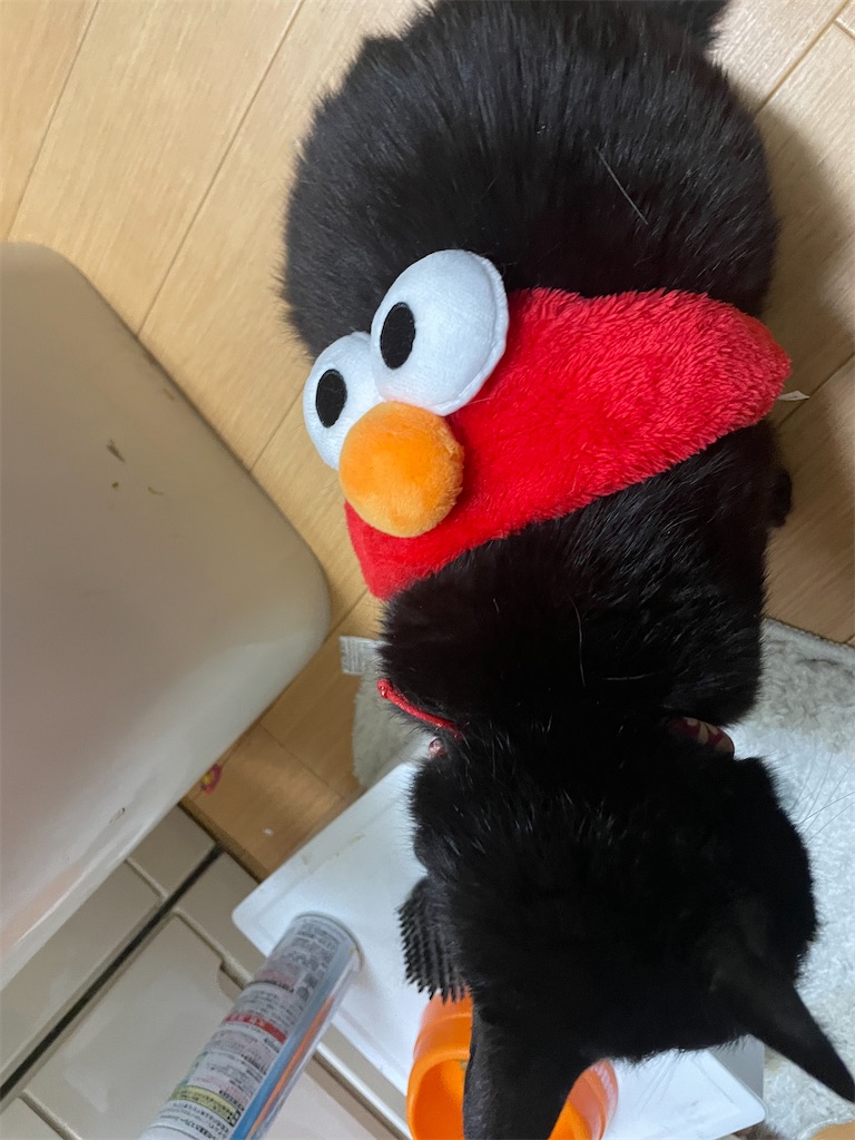 f:id:yjnihama:20220606082307j:image