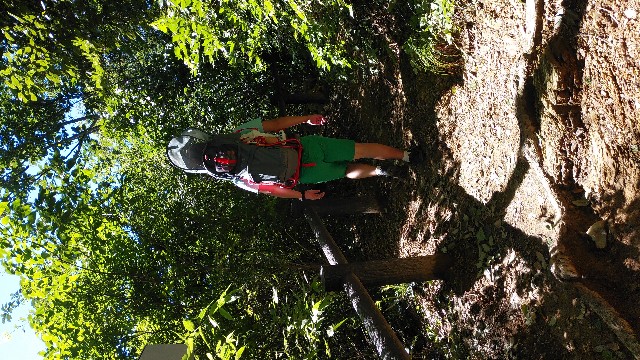 f:id:ykamu:20180827100341j:image f:id:ykamu:20180827100341j:image