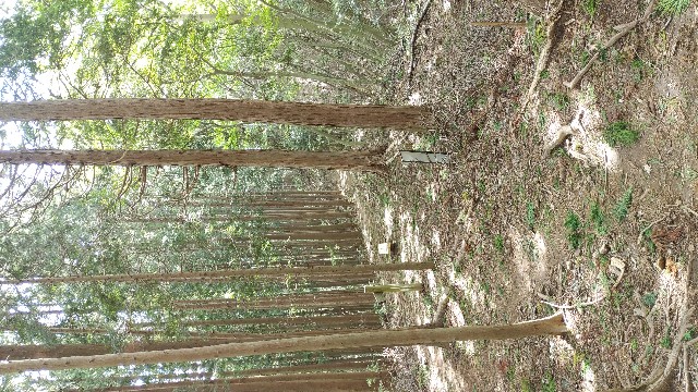 f:id:ykamu:20180916162216j:image f:id:ykamu:20180916162216j:image