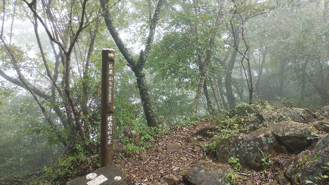 f:id:ykamu:20181002160207j:image f:id:ykamu:20181002160207j:image