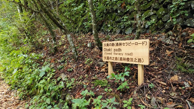 f:id:ykamu:20181110173037j:image f:id:ykamu:20181110173037j:image