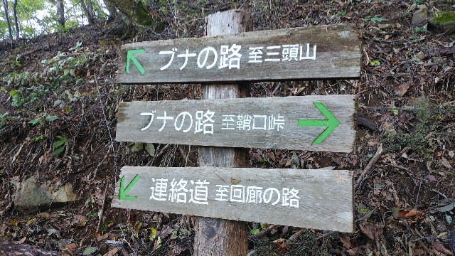 f:id:ykamu:20181110180244j:image f:id:ykamu:20181110180244j:image