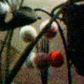 f:id:ykazutaka:20061203222914j:image