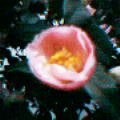 f:id:ykazutaka:20070210133807j:image