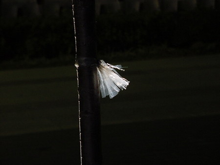 f:id:ykazutaka:20070227020025j:image