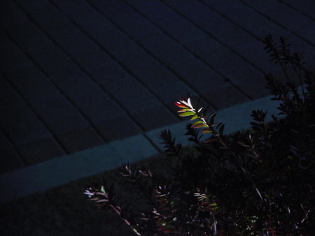 f:id:ykazutaka:20070227020037j:image