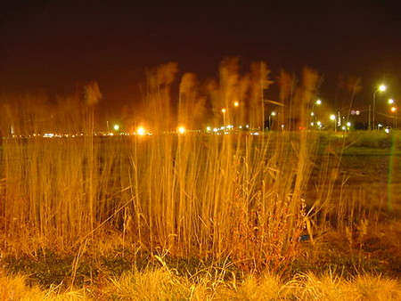 f:id:ykazutaka:20070227020054j:image