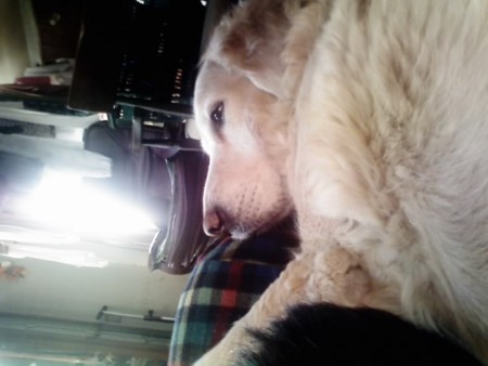 f:id:ykazutaka:20110213165916j:image