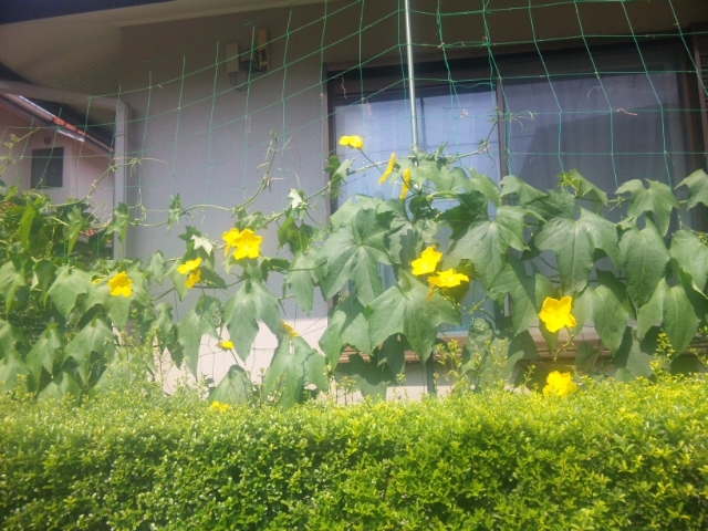f:id:yken1122:20160809112220j:plain f:id:yken1122:20160809112220j:plain