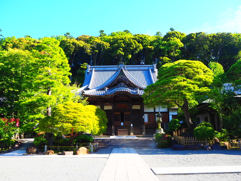 プロフィールアイコン