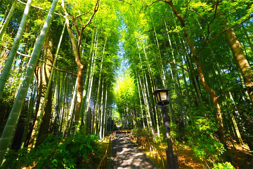 f:id:ykh1103:20210725173033j:image