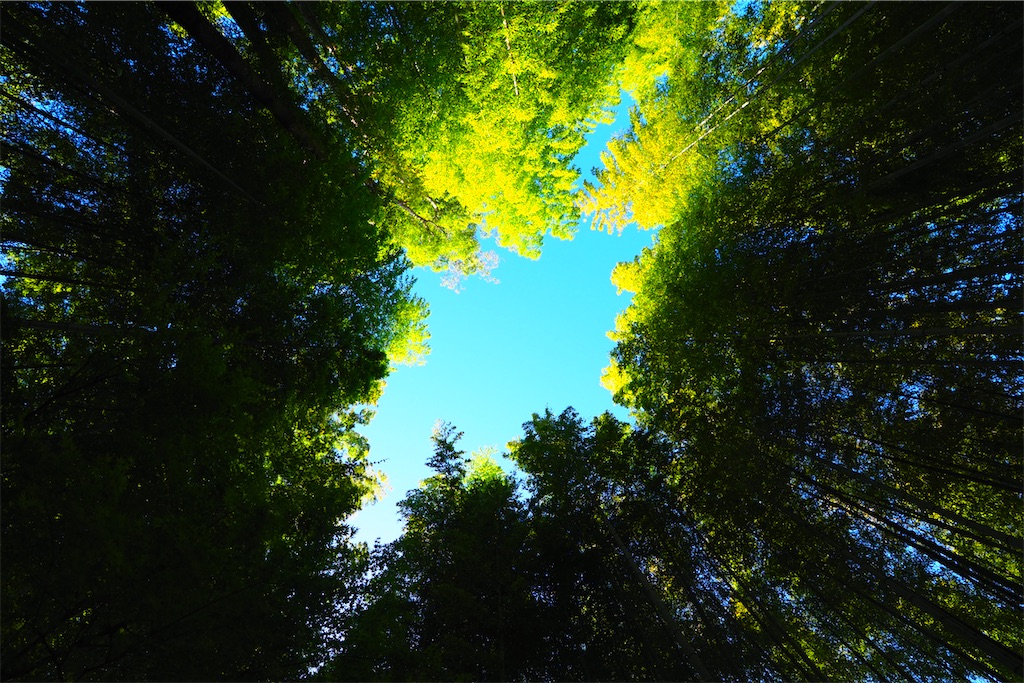 f:id:ykh1103:20210725173039j:image