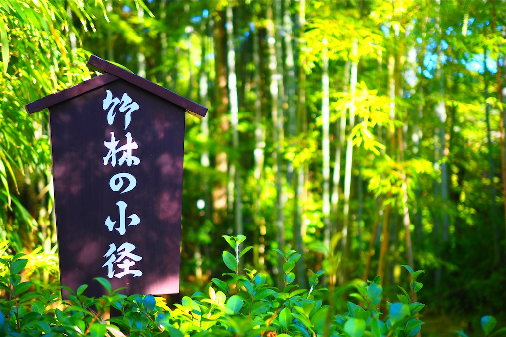 f:id:ykh1103:20210725173043j:image