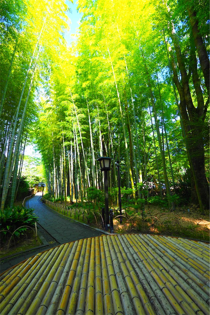 f:id:ykh1103:20210725173048j:image