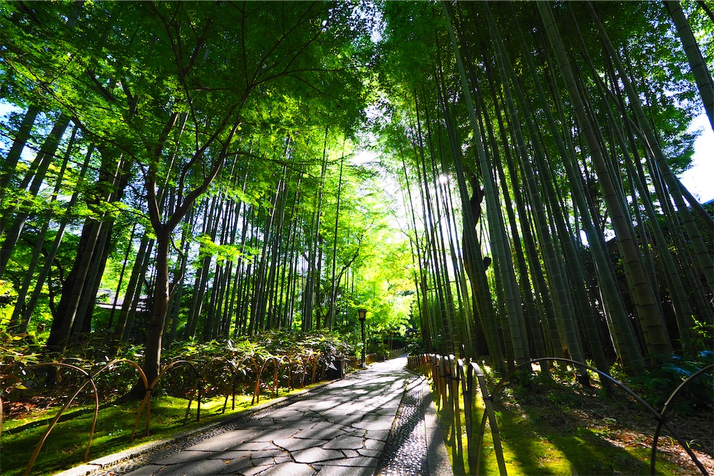 f:id:ykh1103:20210725173051j:image