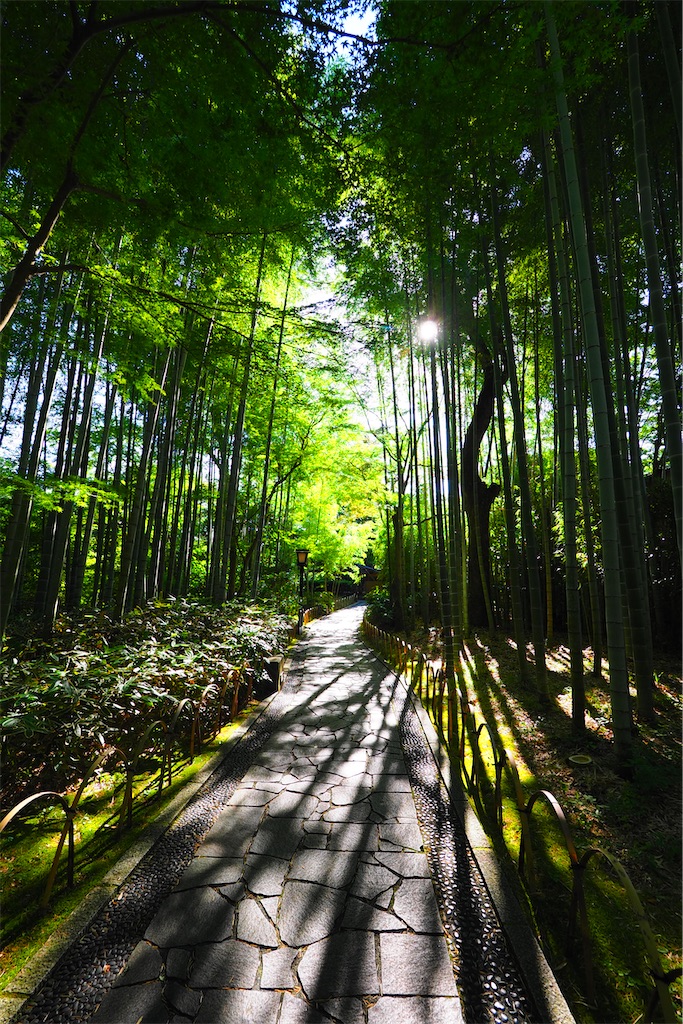 f:id:ykh1103:20210725173055j:image