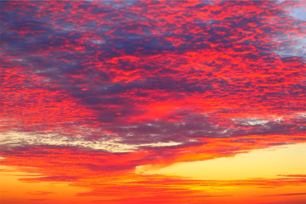 f:id:ykh1103:20210925095826j:image