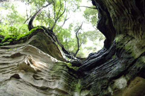 f:id:ykhayate:20100504140056j:image