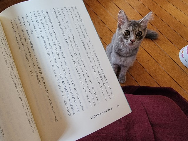 f:id:ykkusjm:20210822153641j:image