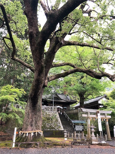 f:id:ykn_mg:20190623164912j:image