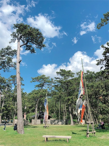 f:id:ykn_mg:20190623170748j:image