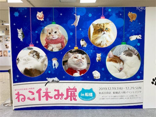 f:id:ykn_mg:20191224153953j:image f:id:ykn_mg:20191224153953j:image
