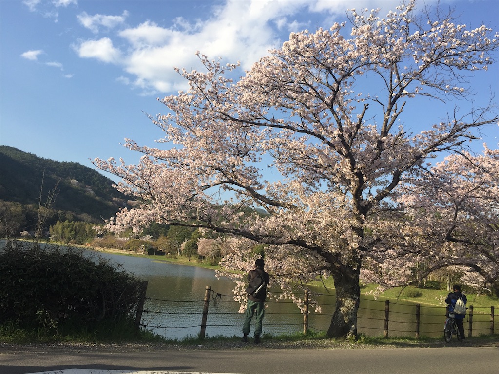 f:id:yknd:20170415154324j:image f:id:yknd:20170415154324j:image