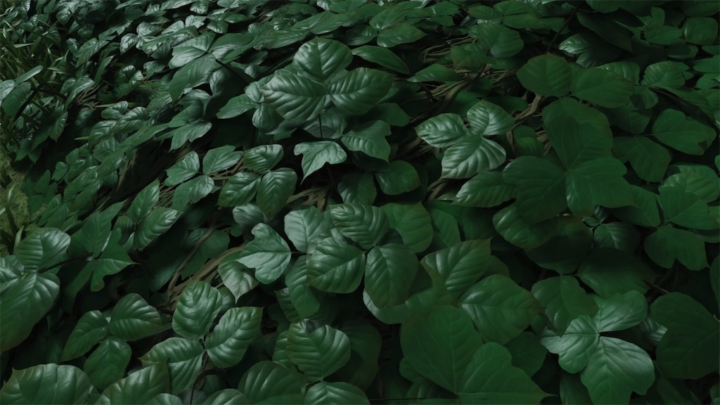 f:id:yksmfrmd:20200721081848j:image f:id:yksmfrmd:20200721081848j:image
