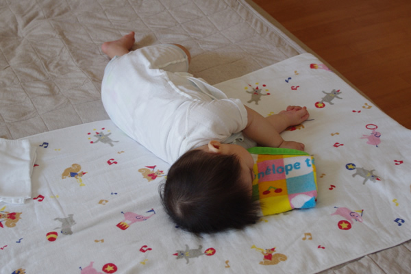 IMGP0936.jpg