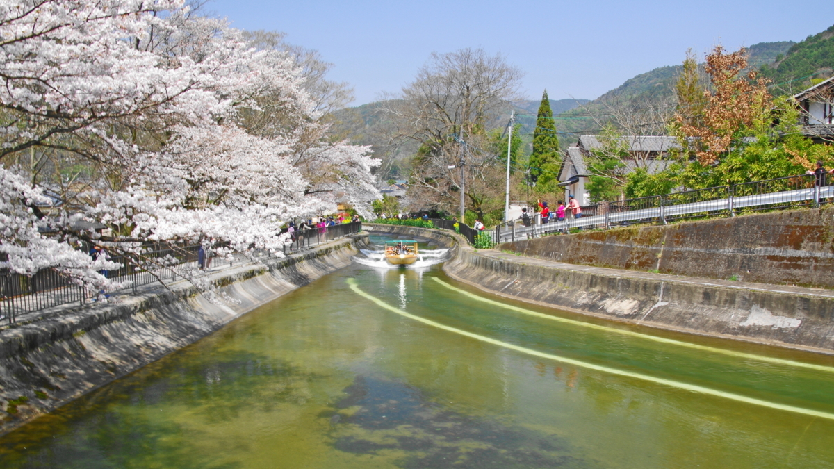 f:id:ykssm:20180329111302j:plain f:id:ykssm:20180329111302j:plain