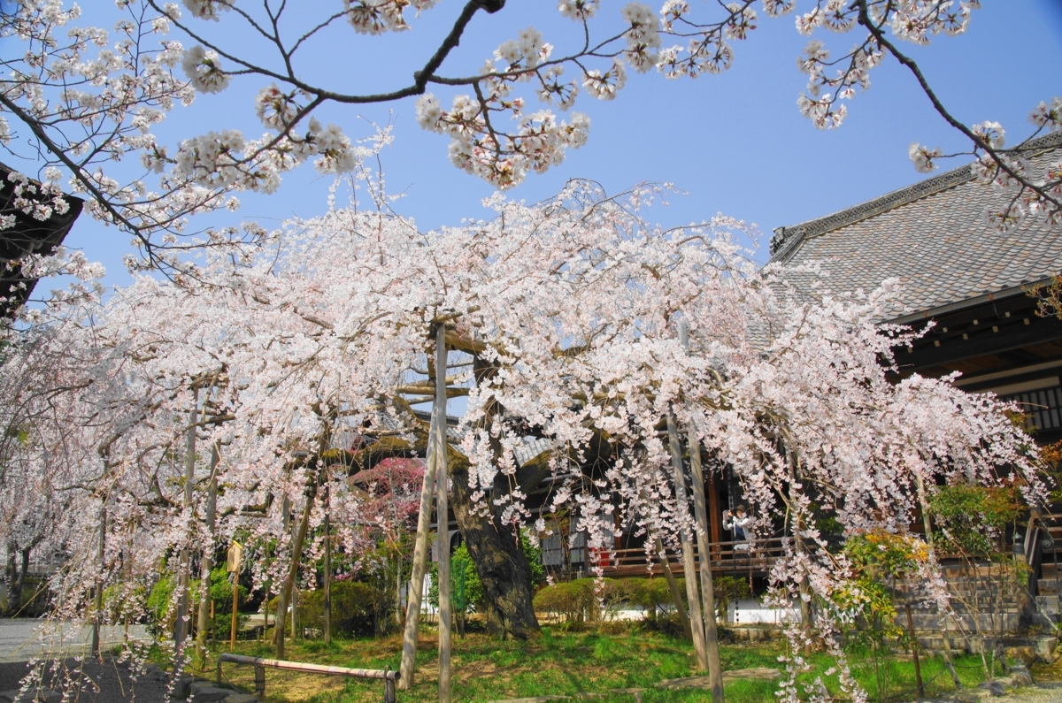 f:id:ykssm:20180329120841j:plain f:id:ykssm:20180329120841j:plain