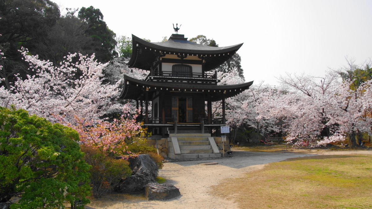 f:id:ykssm:20180329142712j:plain f:id:ykssm:20180329142712j:plain