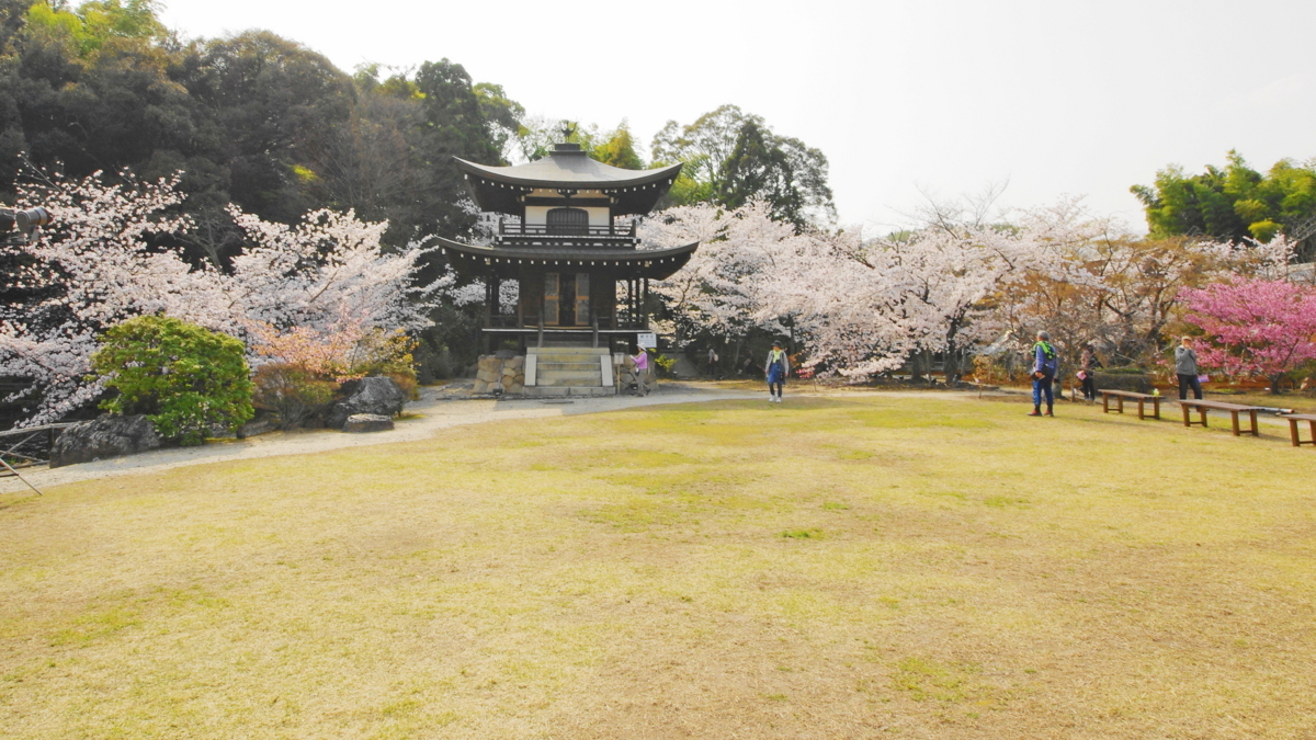 f:id:ykssm:20180329150949j:plain f:id:ykssm:20180329150949j:plain