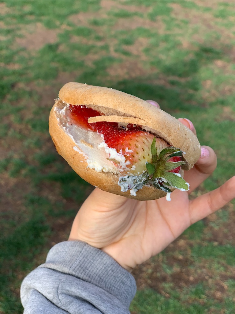 f:id:yktd:20190409024259j:image